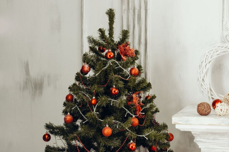 tree with red decor in white room