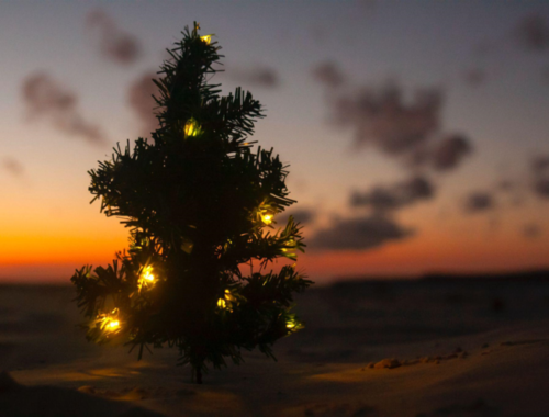 The Perfect Christmas Tree Skirts for Your Holiday Cheer