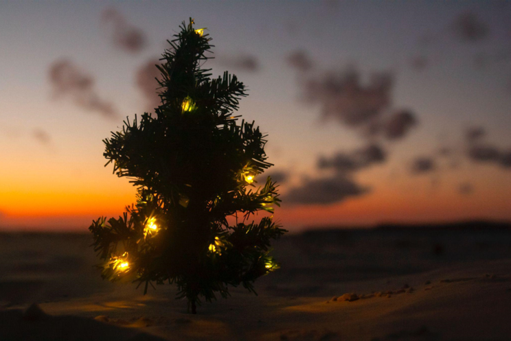 The Perfect Christmas Tree Skirts for Your Holiday Cheer